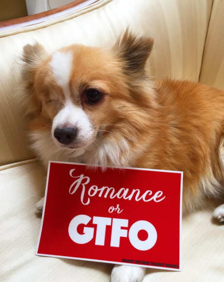 Fitzwilliam W holding a red Romance or GTFO sticker