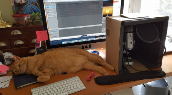 Orville, my very large orange tabby, sprawled out across my desk with my computer, keyboard, and soundbox and mic on the desk around him. he's very very large 