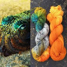 A photo of a squid next to two skeins of yarn, one is speckled with black against a white, orange and green base, the other is a bright orange solid