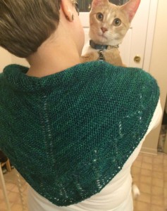 Elyse's sock yarn shawl, with her orange tabby Dewey looking over her shoulder