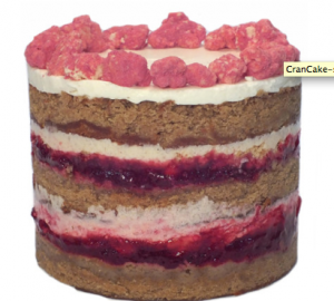 Cranberry Gingerbread Cake