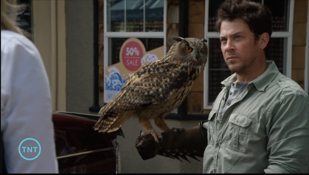He straight up has a big ol' owl on his arm. 