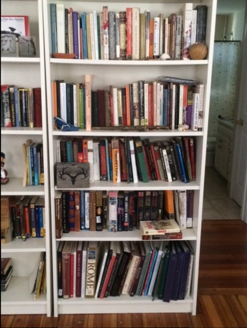 A Tour of Redheadedgirl’s Bookshelf