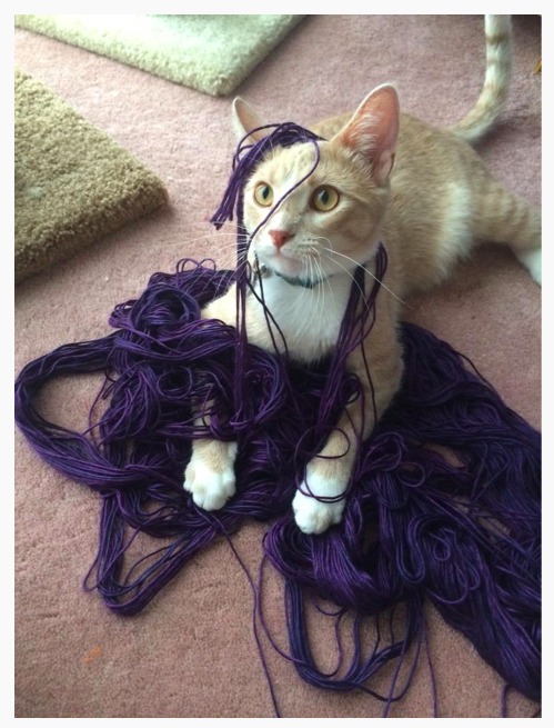 Dewey, a light orange tabby with huge ears, wrapped up in a pile of purple yarn, with some of it over one ear, sitting on the pile because he conquered it. Sorry. he HELPED it get there. 