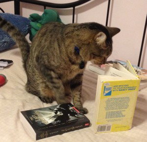 On the other hand, Magic is quite interested in Nancy Drew. Our other cat, Starlight, declined to be photographed. 