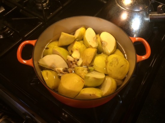 Quartered quince fruit in a dutch oven with liquid and sugar