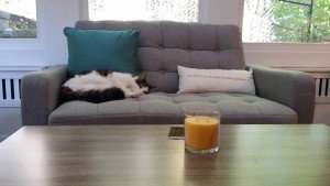 Spawn, who is a mostly white Maine coon, curled up on the grey tailored loveseat that's part of the staging decorations
