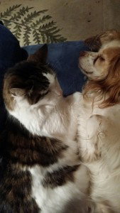 Spawn and Zeb cuddled face to face on the sofa.