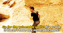 Gif of dialogue: Go for the vulnerable spots - it's a rock, it doesn't HAVE vulnerable spots!