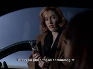 From "War of the Coprophages"