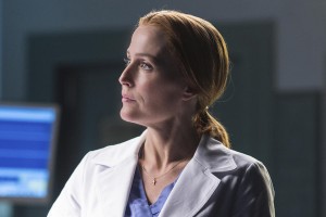 Gillian Anderson in "My Struggle" Queen of All She Surveys.