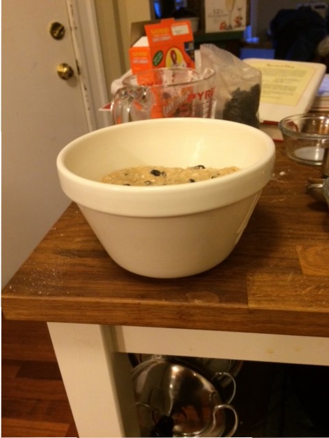 My pudding basin! Isn't it pretty? A large white rimmed bowl stuffed full of pudding that's raw