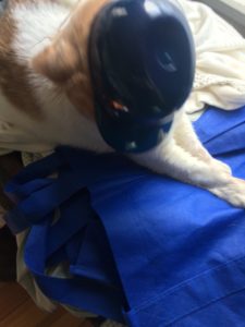 Slack for iOS Upload