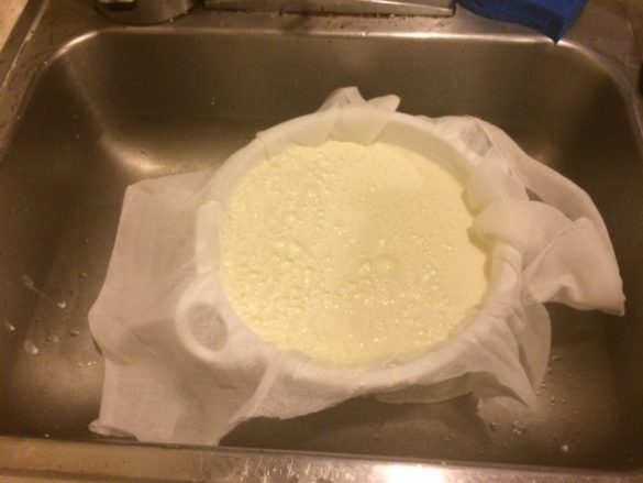 Curds and whey draining, with a big blob of yellow in the cheese cloth with bubble looking things on top