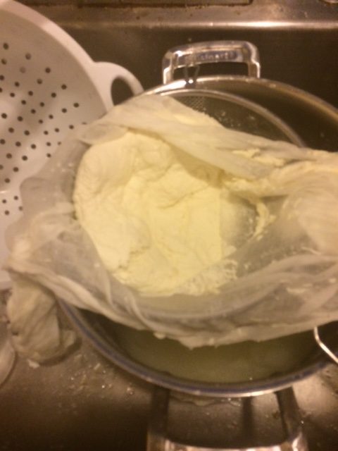 Curds! Kind of like playdough.