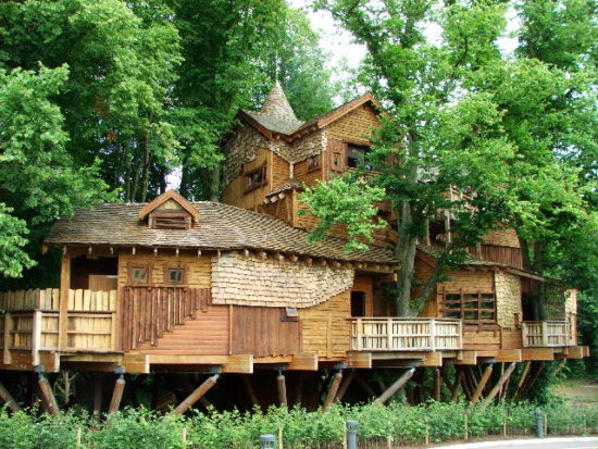 Thee Treehouse. Why don't I live there? Clearly that's the house for me!