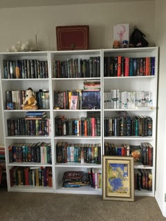 Lia's bookcases which are ridiculously well organized with books two deep on the shelves 