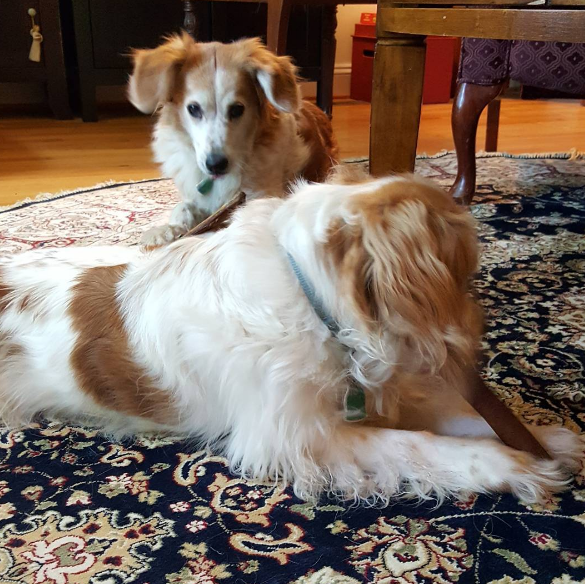 Screen Shot 2016-06-17 at 2.16.04 PM