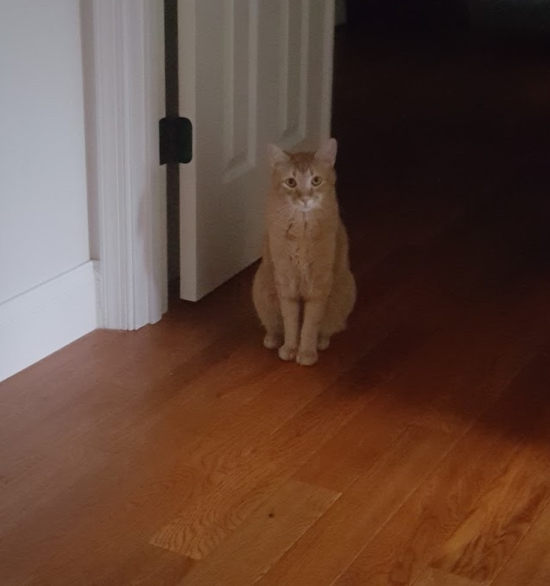 Wilbur, in a rare daytime appearance