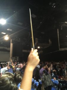 hand holding wand aloft