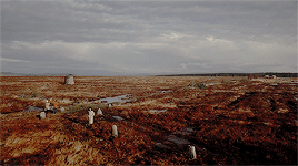 tumblr_oad8vpm0dM1vraoulo6_400