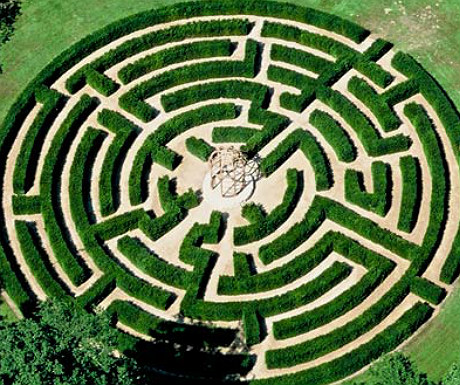 the maze