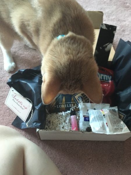 An outtake of Dewey standing in the box, about to steal the vibrating cock ring