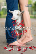 Why Did It Have to Be You by Allyson Charles