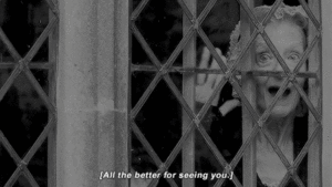 Aunt Aggie, waving from the window and utterly delighted to see Verity again