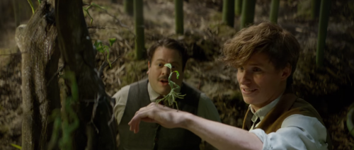 Jacob, Newt, and what is basically a walking stick insect with a face.