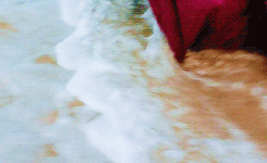 tumblr_ofxlsoccdh1skw8jlo2_250