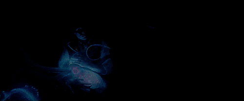 Newt cradling a glowing, octopus-like creature.