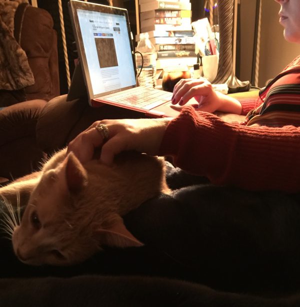 Dewey is sprawled out in my lap, in a post nip haze, while I pet him with one hand and recap with the other.