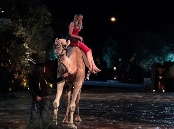 A woman rides in on a camel in a red dress, poor camel does not get a rose can you believe that shiz
