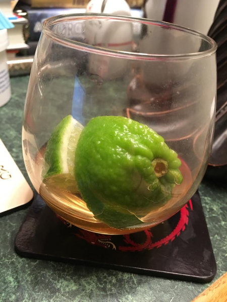 My empty Dark and Stomry glass. Just some limes sitting a in a tiny pool of watered down ginger beer and rum.