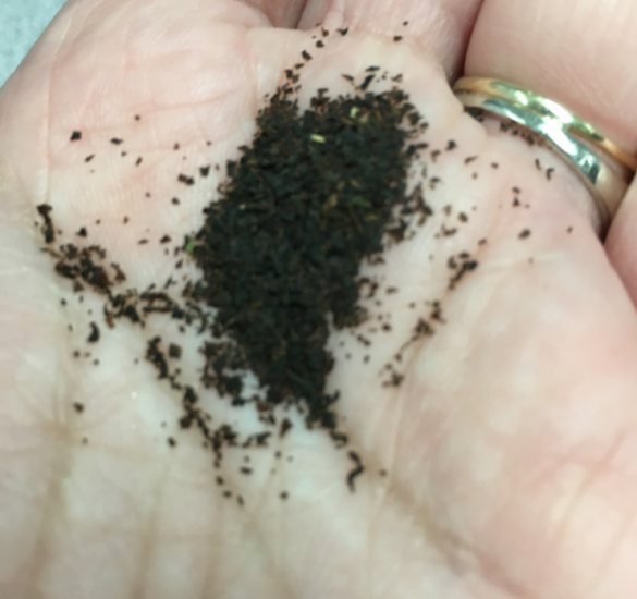 Ground dusty tea from a teabag in Elyse's palm