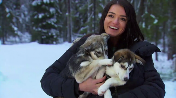 Raven cuddles two adorable husky puppies.