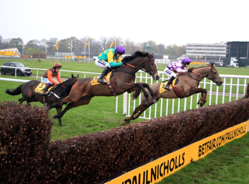 Horses going over a jump- one of them is at least a foot above the top of hedge.