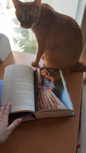 One of Sarah's cats helping to show off an illustration of the Innkeeper Chronicles' main character