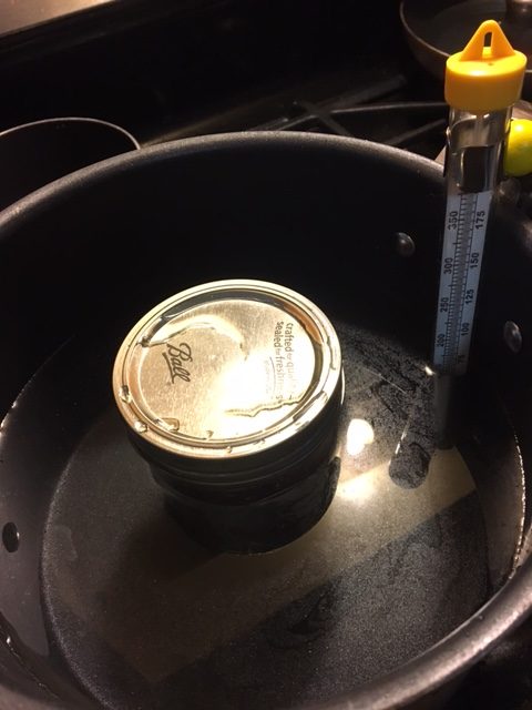 jar in its water bath, with the thermometer keeping an eye on the temp