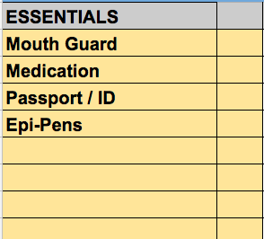 essentials section - mouth guard, medication, passport epi pens