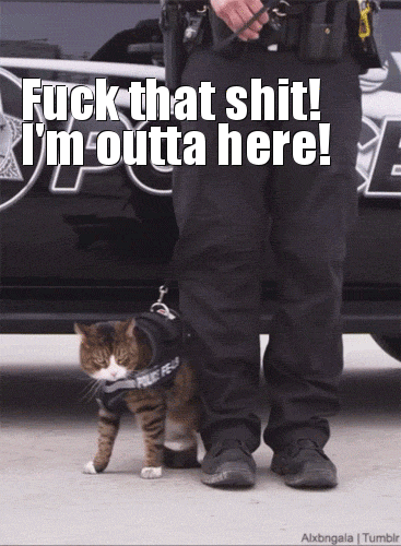 A gif of a cat trying to escape a harness