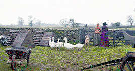 D, in a pale orange, and Caro, in dark purple, stand at the gate in Nampara. A flock of geese are between us and them.