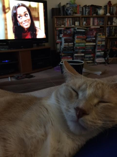 A close up of my cat sound asleep, The Bachelorette on in the background