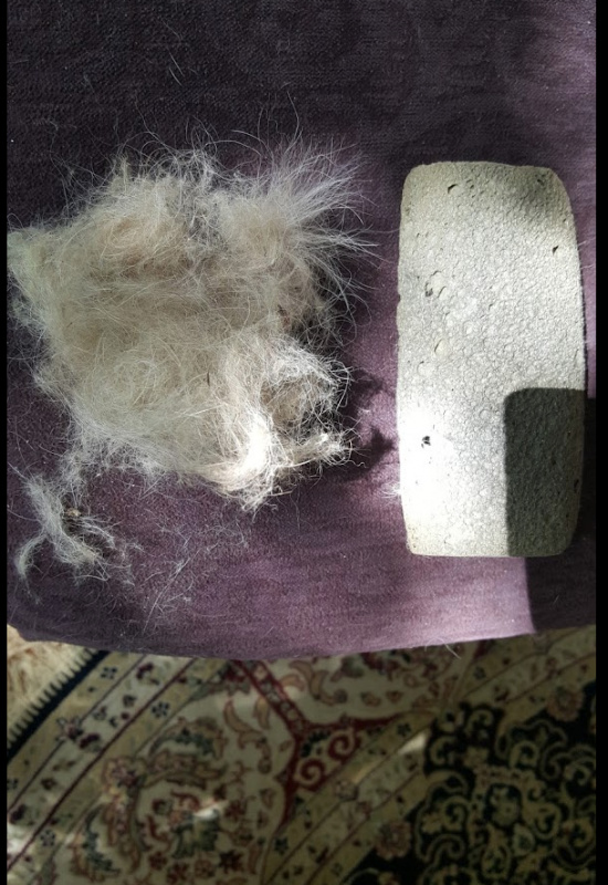Photograph of purple chaise with hair removal stone and wad of hair I took off the chair with 10 minutes of use