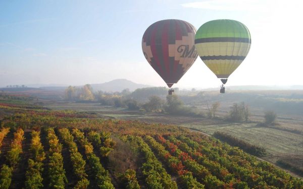 Two hot air ballons float over the vineyards in Rioja, Spain.