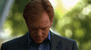 Horatio from CSI Miami slowly puts on his sunglasses (like he does in every single episode)