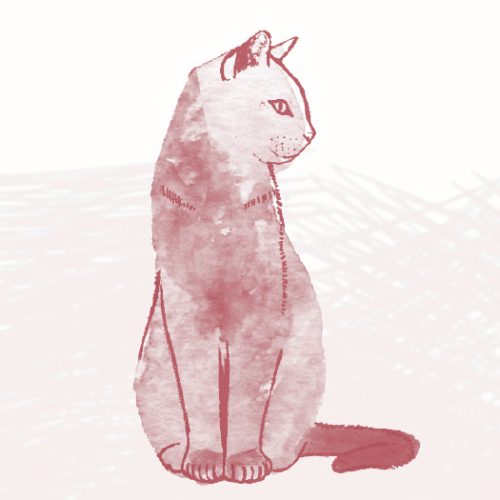 A cute illustration of a cat sitting up.