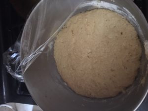 It rose! It's a very slack dough, but it rose!