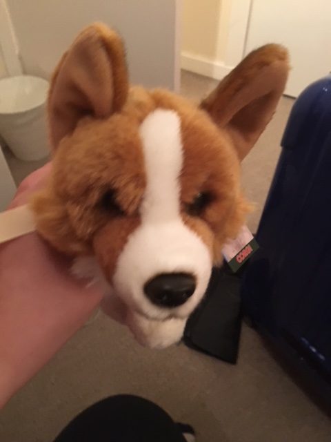 Stilton the stuffed corgi.